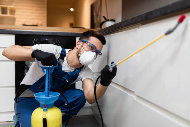 Reliable Blair, WI Pest Control Solutions