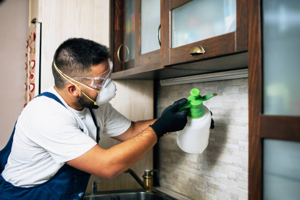 Best Bed Bug Extermination  in Blair, WI