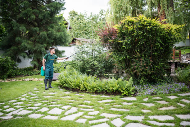 Best Affordable Pest Control Services  in Blair, WI