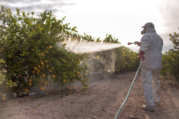 Best Pest Control Near Me in Blair, WI