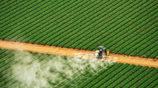 Best Mosquito Control Services  in Blair, WI