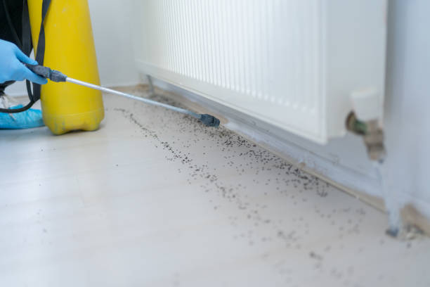 Best Residential Pest Control  in Blair, WI