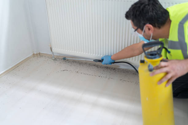 Best Exterminator Services  in Blair, WI