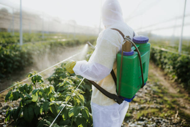 Best Insect Control  in Blair, WI